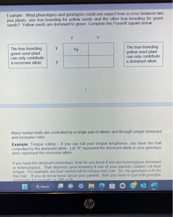 Solved I need this entire lab completed ive attached all | Chegg.com