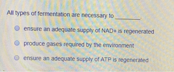 Fermentation essay picture