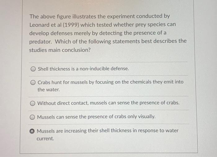 Solved The above figure illustrates the experiment conducted | Chegg.com