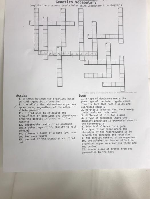 Solved Genetics Vocabulary Complete the crossword puzzle Chegg com