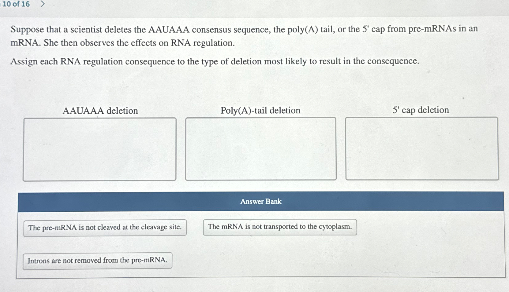 Solved 10 ﻿of 16Suppose that a scientist deletes the AAUAAA | Chegg.com
