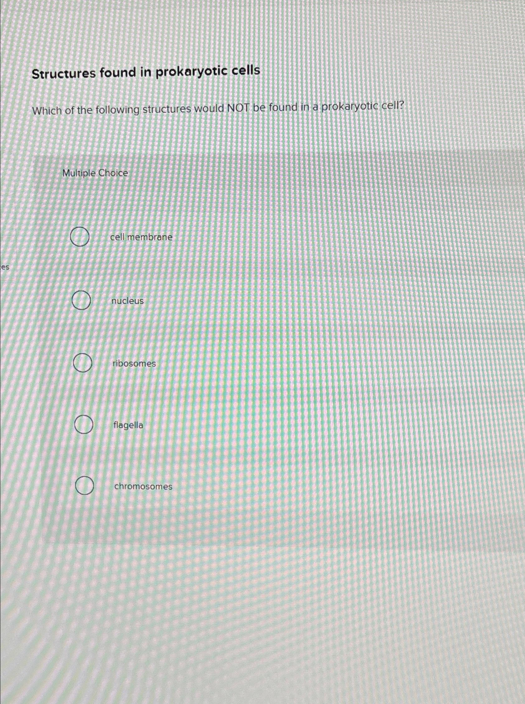 which of the following structures are found in all prokaryotic cells