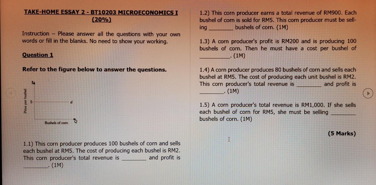 Microeconomics essay questions and answers picture