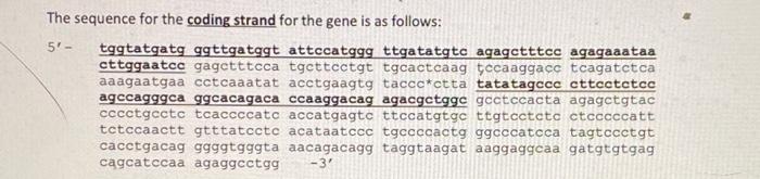 Solved The Sequence For The Coding Strand For The Gene Is As | Chegg.com