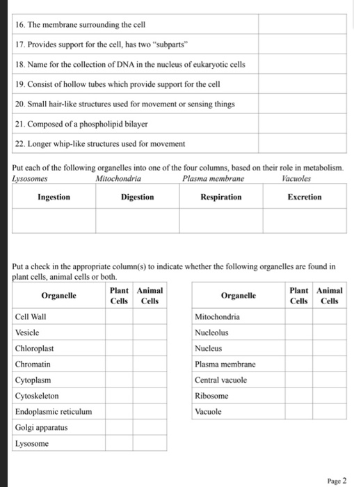Solved 16. The membrane surrounding the cell 17. Provides | Chegg.com