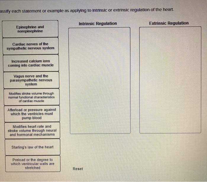 Solved assify each statement or example as applying to | Chegg.com