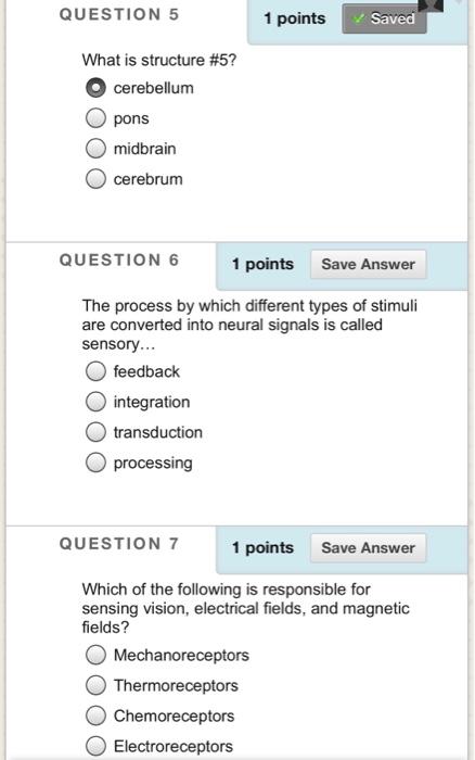 Solved Refer to the image below for questions 1-3: #1 #2 #3 | Chegg.com