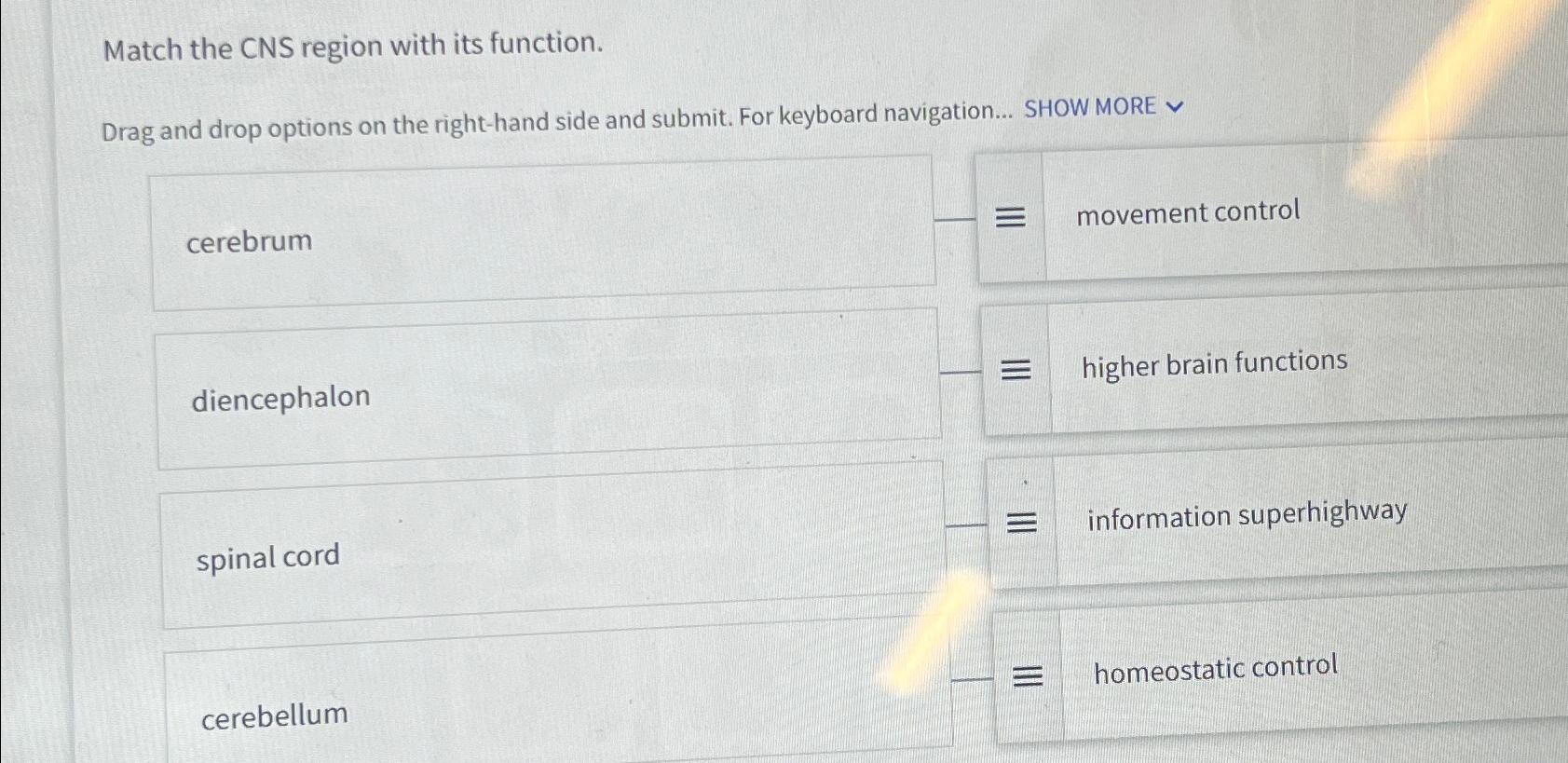 Solved Match the CNS region with its function.Drag and drop | Chegg.com