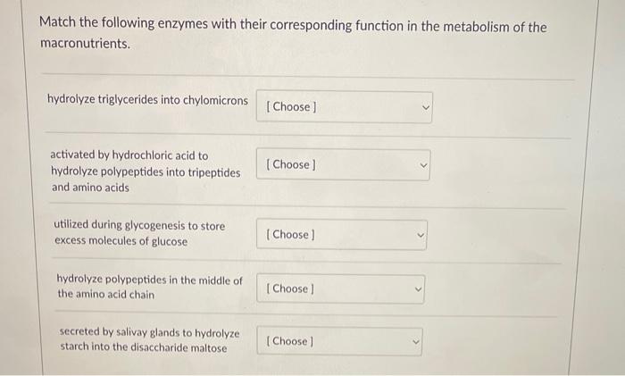 Solved Match The Following Enzymes With Their Corresponding | Chegg.com