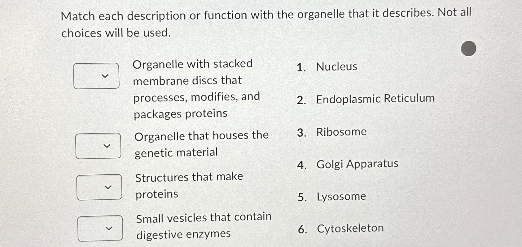 Solved Match each description or function with the organelle | Chegg.com
