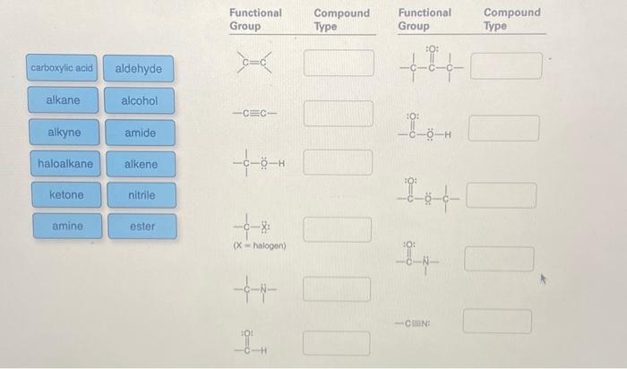 Solved Carboxylic Acid Alkane Alkyne Haloalkane Ketone Amine | Chegg.com