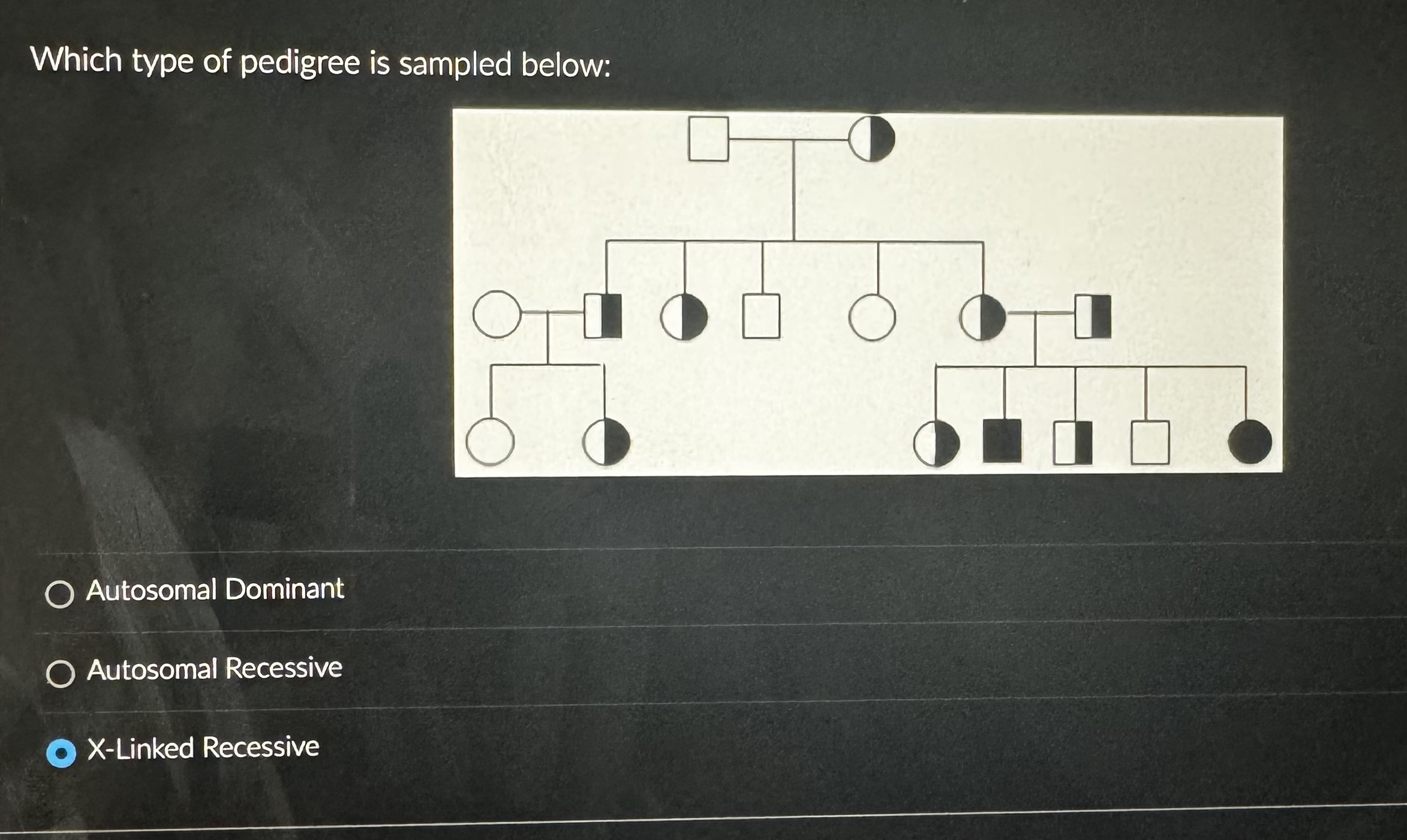 Solved Which type of pedigree is sampled below:Autosomal | Chegg.com