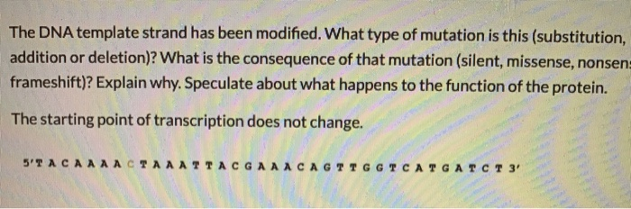 Solved The DNA template strand has been modified. What type | Chegg.com