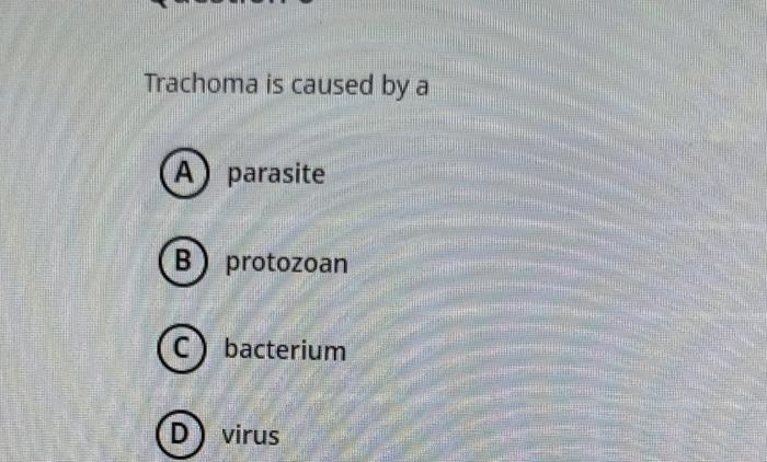 Solved Trachoma Is Caused By A Parasite (B) Protozoan | Chegg.com