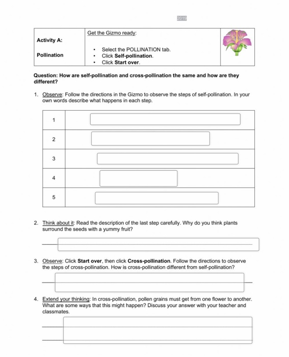 Solved: Student Exploration: Flower Pollination Vocabulary... | Chegg.com