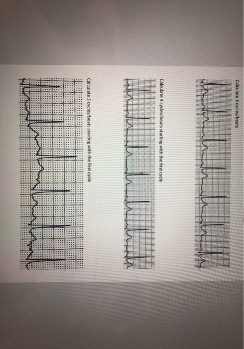 the first cycle