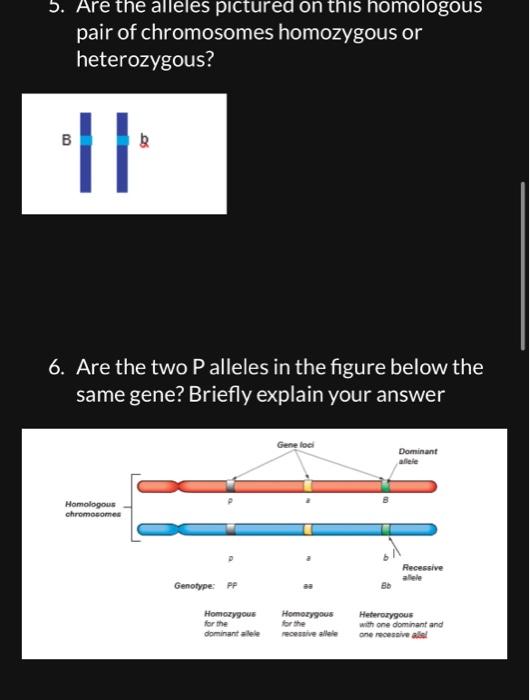 Solved Genetics and Heredity 1. is the study of how traits | Chegg.com