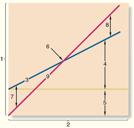 Interpretive Questions on the CVP Graph A CVP graph such as the one shown below is a useful...-1