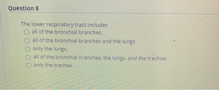Solved Question 8 The lower respiratory tract includes O all | Chegg.com