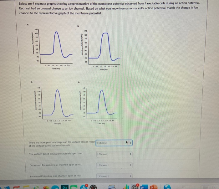 Solved Below Are 4 Separate Graphs Showing A Representative Chegg