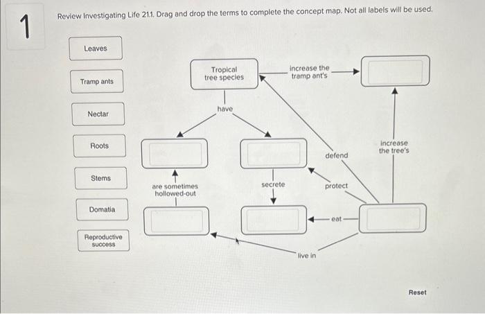 Solved Review Investigating Life 21.1. Drag and drop the | Chegg.com