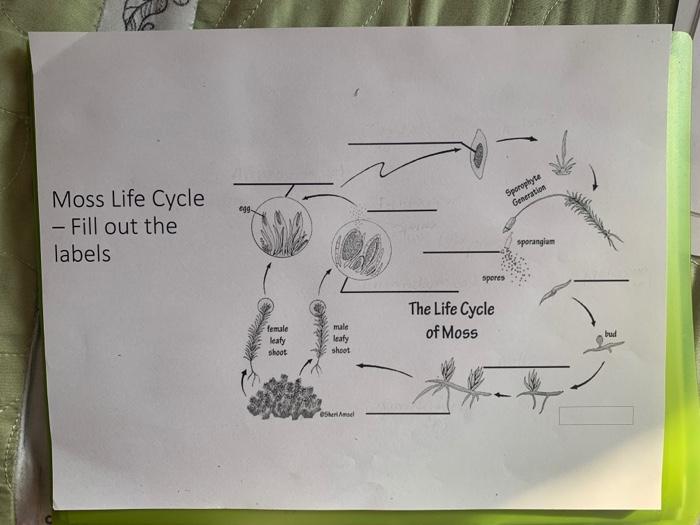 Solved I need help with this. I need to fill out all the | Chegg.com