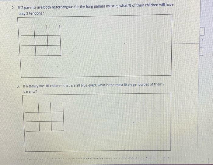 Solved 2. If 2 parents are both heterozygous for the long | Chegg.com