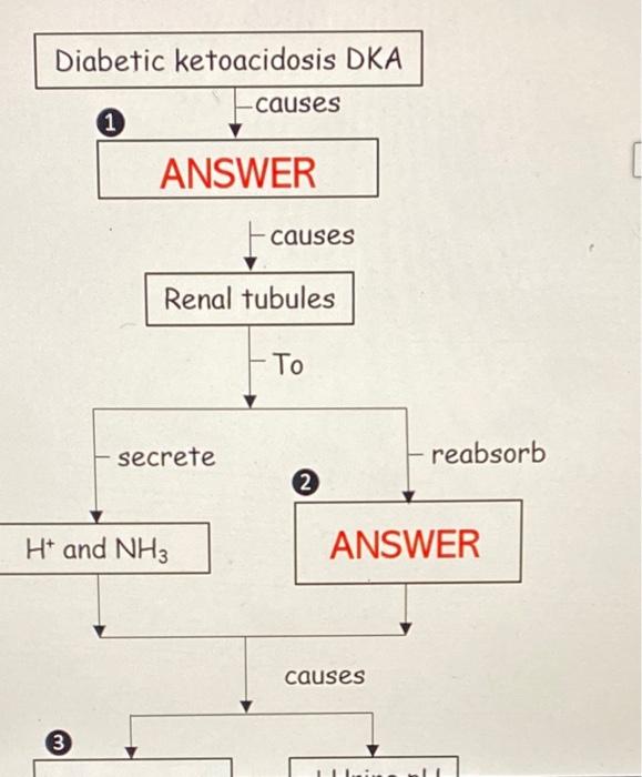 Solved Diabetic ketoacidosis DKA ANSWER↓ Urine pH decreased | Chegg.com