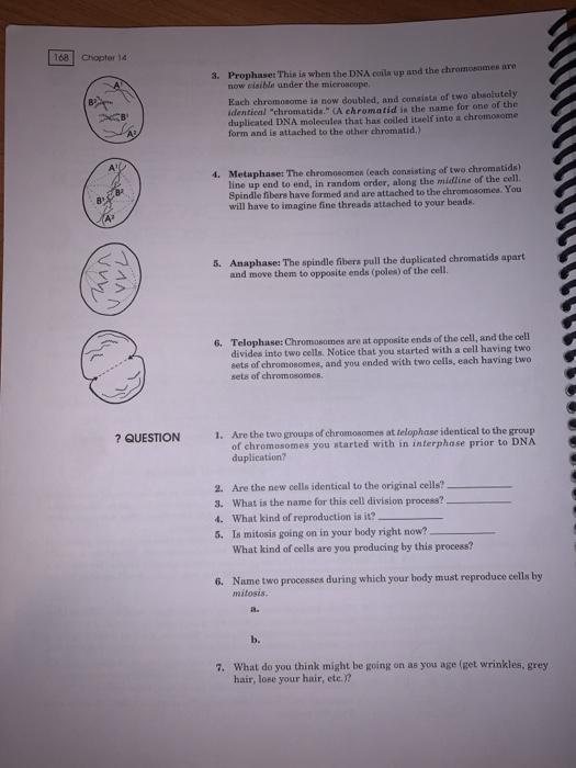 Portal hypertension and gi bleeding image
