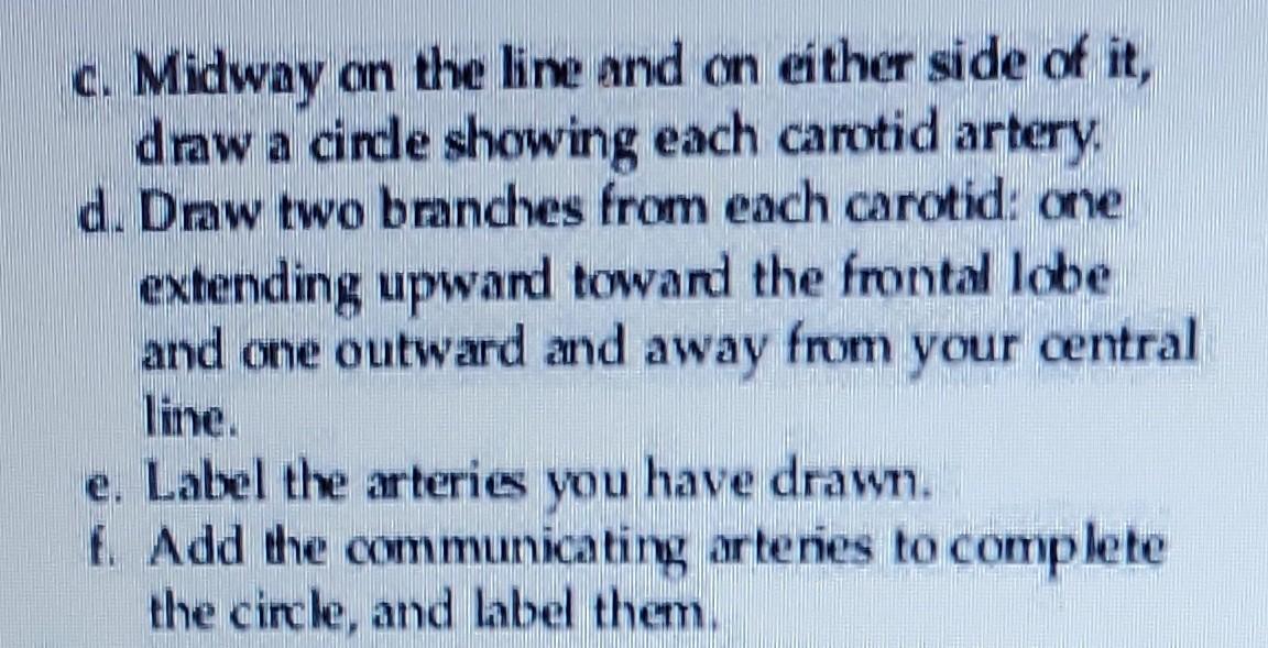 c. Midway on the line and on either side of it,
draw a cirde showing each carotid artery
d. Draw two branches from each carot