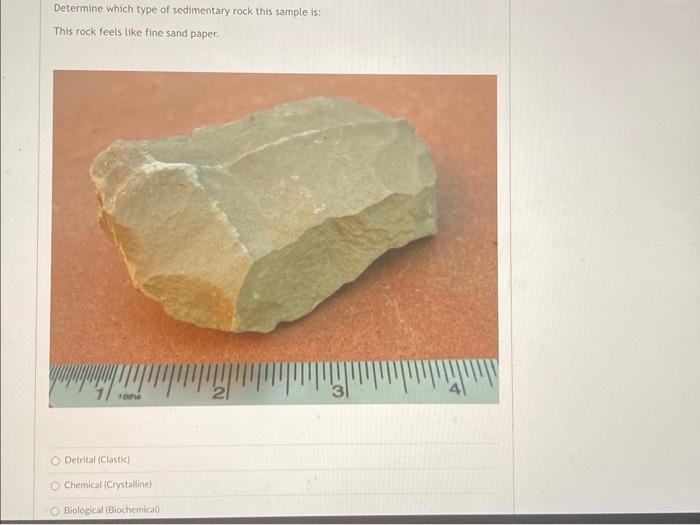 Solved Determine which type of sedimentary rock this sample | Chegg.com