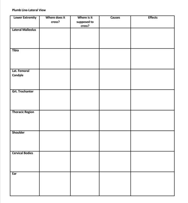 Solved Plumb LineLateral View \begin{tabular}{ccccc}