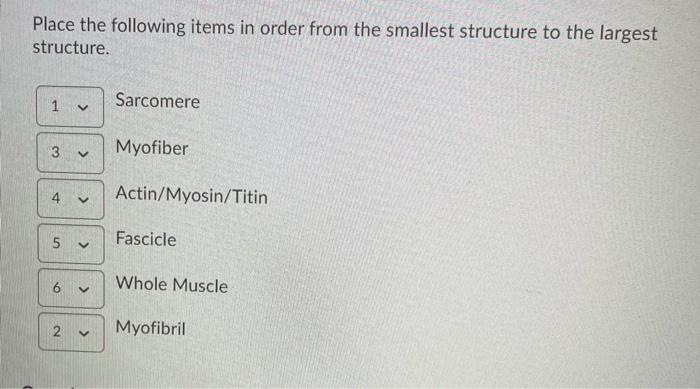 Solved Place the following items in order from the smallest | Chegg.com
