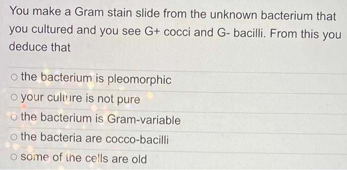 Solved You make a Gram stain slide from the unknown | Chegg.com