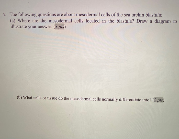 Solved 4. The following questions are about mesodermal cells | Chegg.com