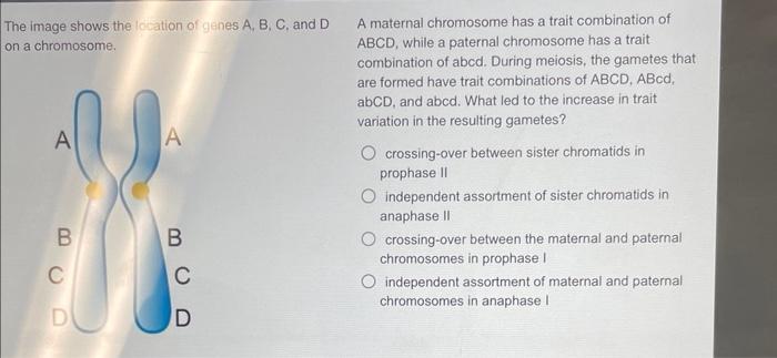 Solved The Image Shows The Lccation Of Genes A, B, C, And D | Chegg.com