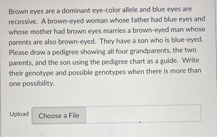 solved brown eyes are a dominant eye color allele and blue cheggcom