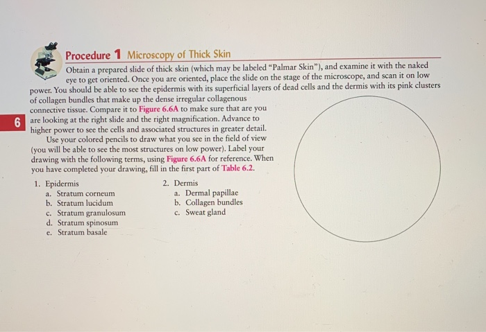 case study developing thick skin answers