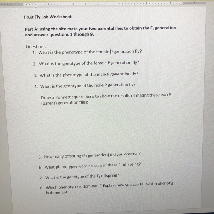 Solved Fruit Fly Lab Worksheet Part A using the site mate