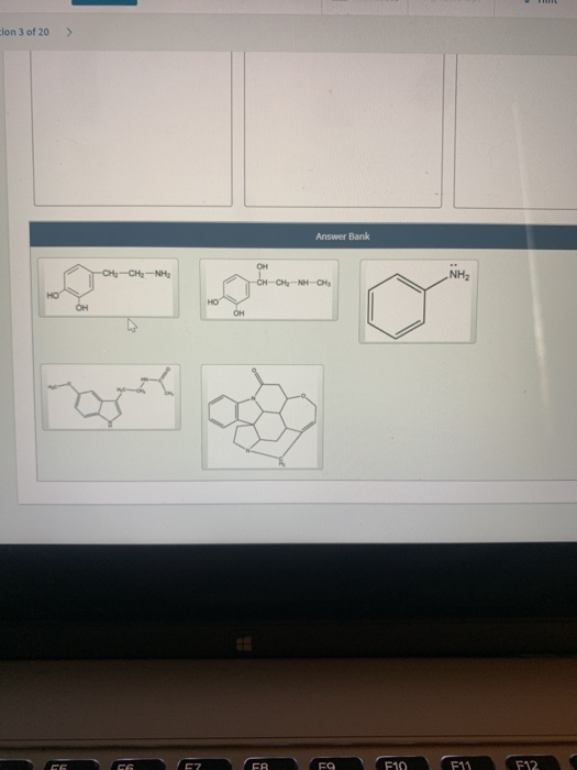 Solved Primary Amine Secondary Amine Tertiary Amine W Answer | Chegg.com