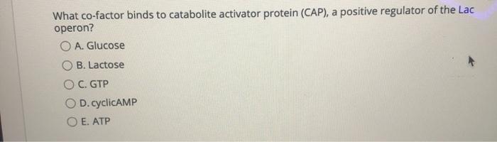 Solved What co-factor binds to catabolite activator protein | Chegg.com