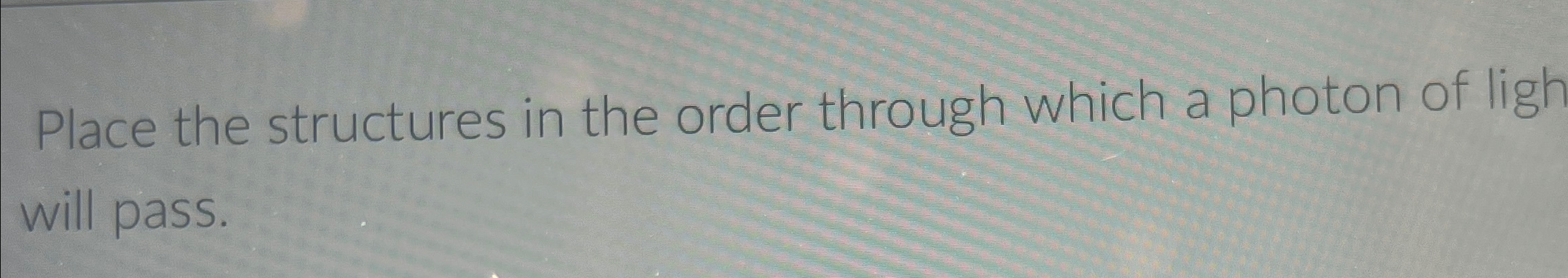 Solved Place the structures in the order through which a | Chegg.com