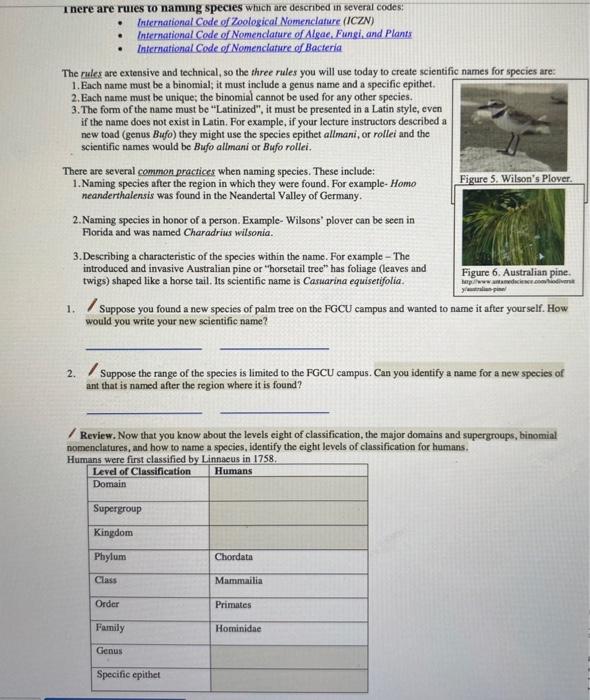 Solved Binomial Nomenclature You will use scientific names | Chegg.com