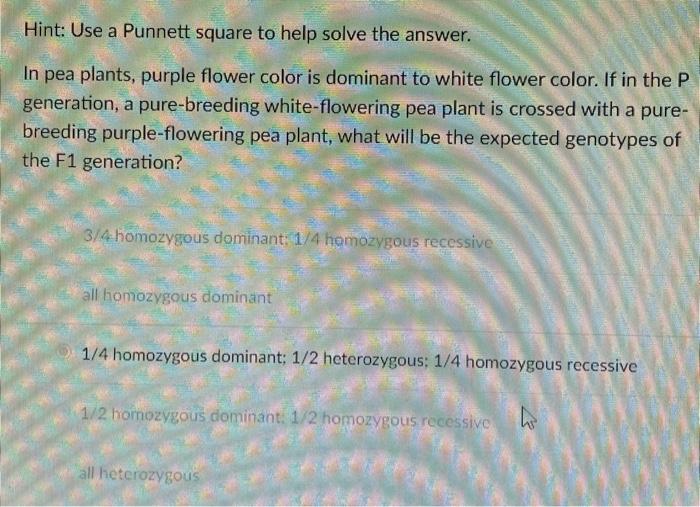 Solved Hint: Use a Punnett square to help solve the answer. | Chegg.com