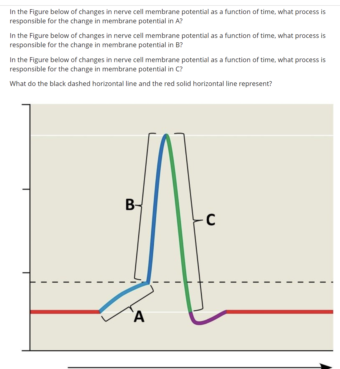 Solved In the Figure below of changes in nerve cell membrane | Chegg.com