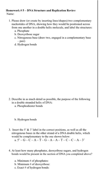 Solved Homework #5 - DNA Structure and Replication Review | Chegg.com