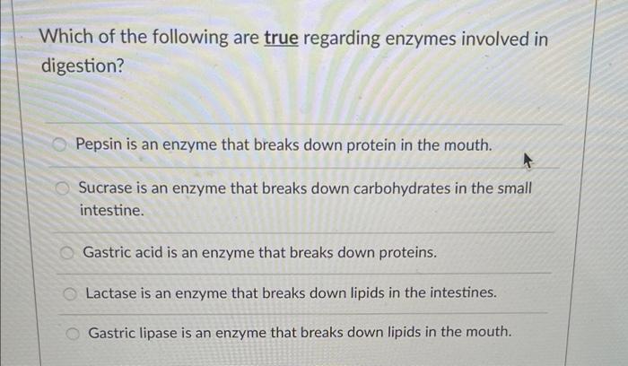 Solved Which Of The Following Are True Regarding Enzymes Chegg