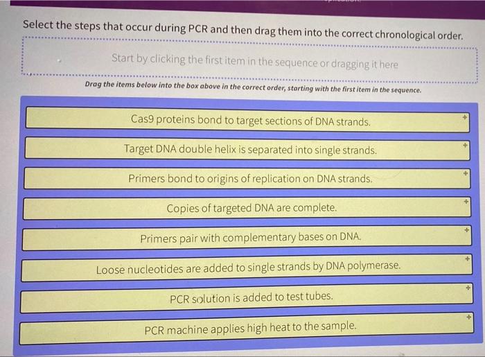 Solved Select The Steps That Occur During PCR And Then Drag | Chegg.com