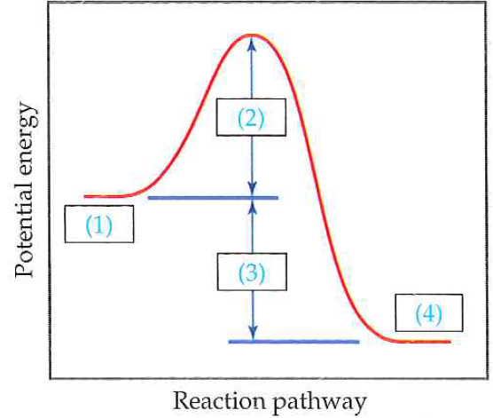 Solved: The following diagram shows the reaction profile of a r ...