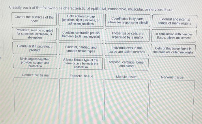 Solved Classify Each Of The Following As Characteristic